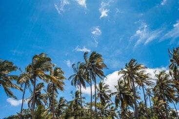 بنسيون Capricorn Beach Cottages