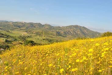 پانسیون Ferme D Hôte Aicha à Bellouta