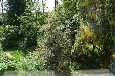 B&b Kasteelhoeve Dussen