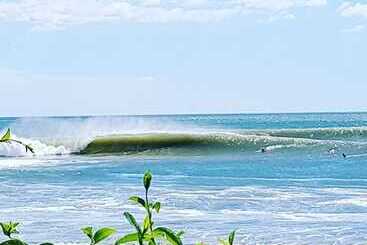 Casa Sirena Surf Lodge