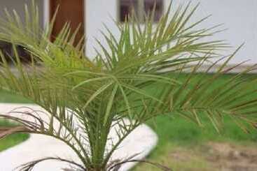 酒店 Hacienda San Gabriel