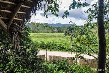 Отель Unique Exotic