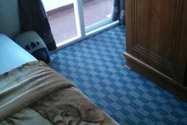 شقة فندقية Ashley Hills