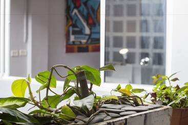 Coolto Art Lodge Hostel