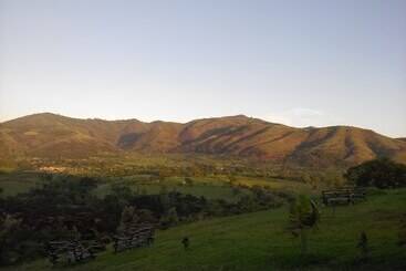 The Crested Crane Bwindi