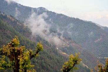 پانسیون Retreat At Damaar