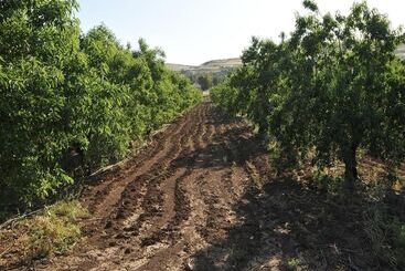 아파트호텔 Zimmer Basadot