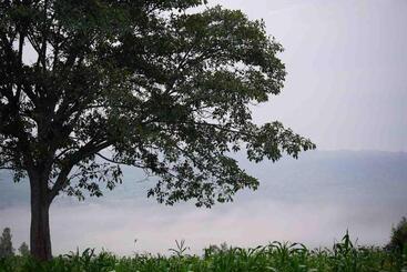 בית מלון כפרי Bugesera Lodge