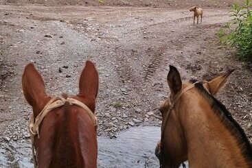 فندق Finca Las Margaritas