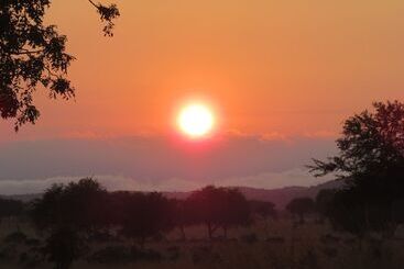 Mikumi Wildlife Camp