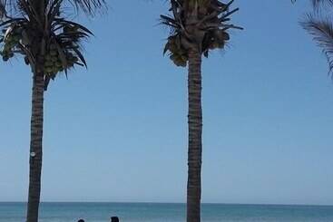 בית מלון כפרי Mancora Bay