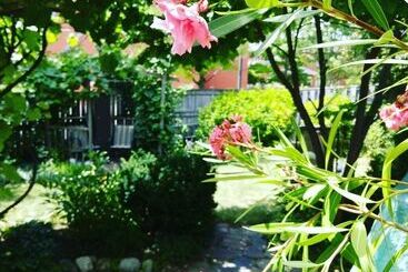 Opus 74 Bed & Breakfast