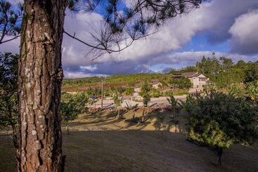 7 Cascades Restaurant Bar & Lodges