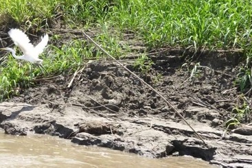 La Fuente Del Amazonas Lodge