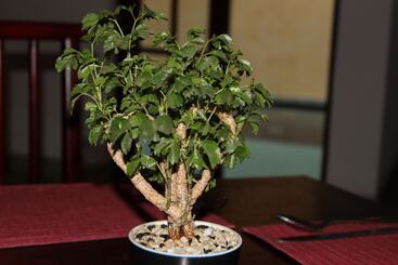 游客公寓 Natures Bliss Holidays