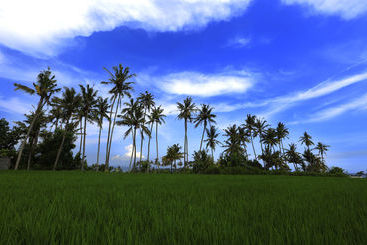 پانسیون The Garga Beach Villas