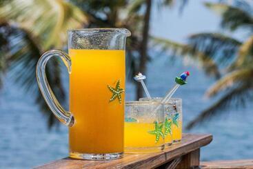 Жильё для туристов Villa Caribeña