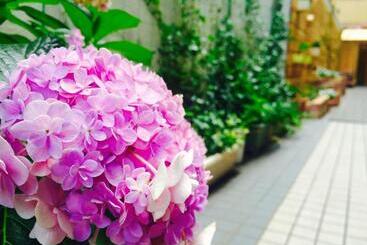 מלון כמוסות Sophiearth Apartment