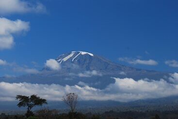 ホテル Honey Badger Lodge