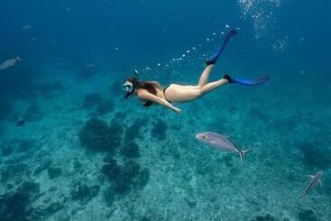 בית מלון כפרי Ocean Tide Beach Resort