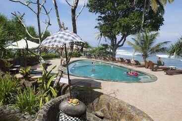 Pondok Pitaya Hotel, Surfing & Yoga