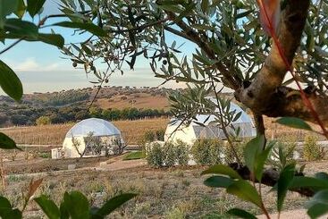 هتل روستایی Glamping Skies   Adults Only