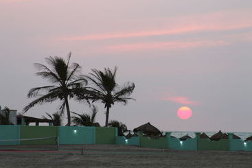 Flourish Wellness Resort