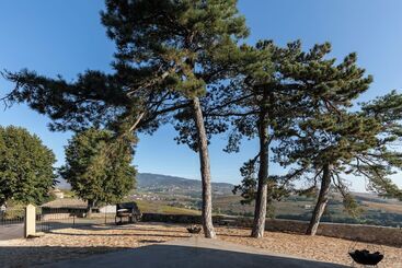 בית מלון כפרי Château Du Souzy