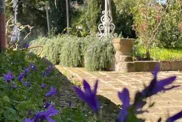 ペンション Poggio Delle Molare Adults Only Retreat