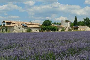 Bed and Breakfast Le Mas Des Lavandes
