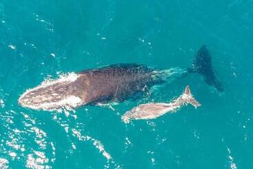 ホテル Sky Island Resort