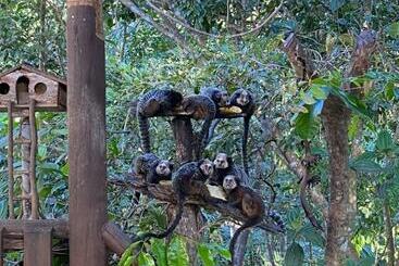 Общежитие Pousada Natureza Viva