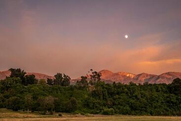 تختخواب و صبحانه Hapuku Carriages Kaikōura