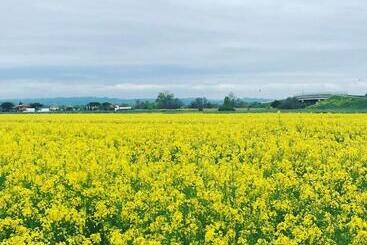 Bed and Breakfast La Mimosa