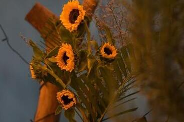 پانسیون Làng Chài Homestay Phú Yên