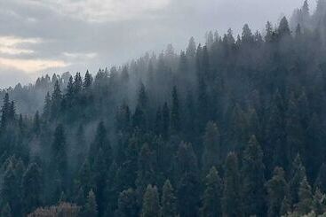 酒店 The Himalayan Deodar