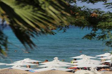Flegra Beach Boutique