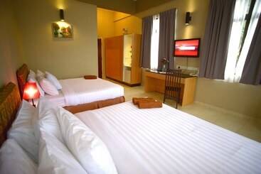 בית מלון כפרי City Times