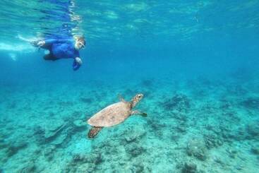 فندق Rivethi Beach