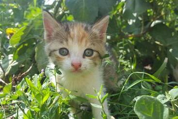 펜션 Budur Guest House