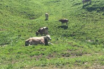 בית מלון כפרי Minster