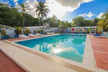 호텔 On Vacation Sea Horse