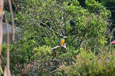 فندق Cafetero Valparaíso