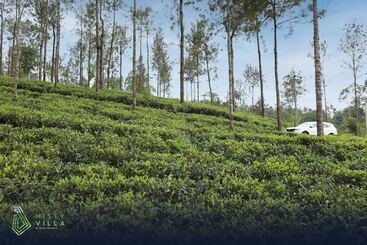 リゾートホテル Misty Villa Powered By Tsc