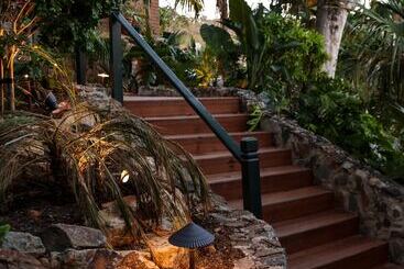 The Pink Palm Hotel   Adults Only