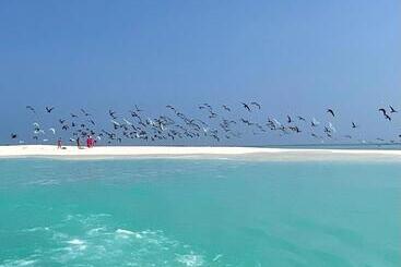 Ocean Voice Beach Resort & Diving