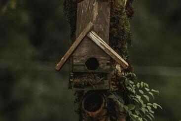 هتل Park Resort Mtirala National Park