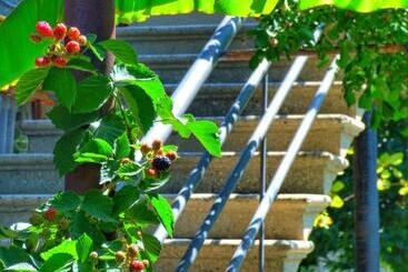 پانسیون Veli Guest House • საოჯახო სასტუმრო ველი