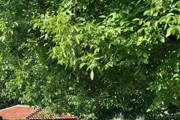 پانسیون Apartmani Morava 54