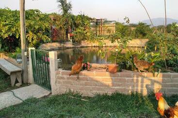 Eco Hotel Y Cabañas